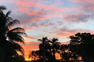 2705 Scott St, Hollywood, FL 33020 - Photo 8