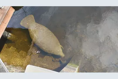 1806 NE 22nd Ter, Fort Lauderdale, FL 33305 - Photo 42