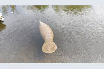 1806 NE 22nd Ter, Fort Lauderdale, FL 33305 - Photo 44