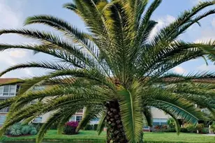 3505 NW 48th Ave, Lauderdale Lakes, FL 33319 - Photo 26