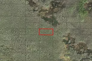 0 Holopaw Groves Rd, Saint Cloud, FL 34772 - Photo 1