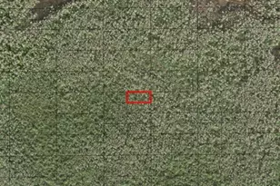 0 Holopaw Groves Rd, Saint Cloud, FL 34772 - Photo 1