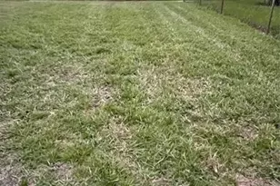 3401 NW 5th Pl, Lauderhill, FL 33311 - Photo 6