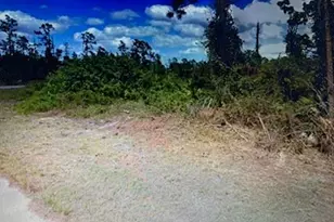 729 Ontario Ave, Lehigh Acres, FL 33974 - Photo 1