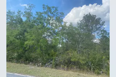 Lot 26  Seaview Street, Orlando, FL 32833 - Photo 1