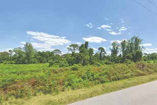 449 Hallmark Ave, Lake Placid, FL 33852 - Photo 1