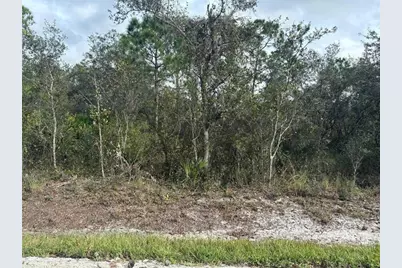 3035  W Dixon Rd, Avon Park, FL 33825 - Photo 1