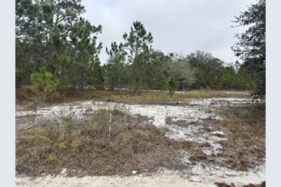 2922  W Perry Rd, Avon Park, FL 33825 - Photo 1