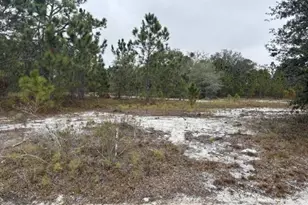 2922 W Perry Rd, Avon Park, FL 33825 - Photo 1