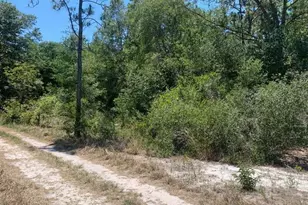 2649 N Todd Rd, Avon Park, FL 33825 - Photo 1