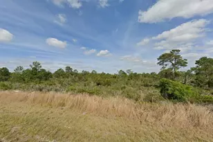 237 Sandpiper St, Lake Placid, FL 33852 - Photo 1