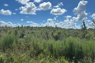 16072 NW 304th St, Okeechobee, FL 34972 - Photo 1