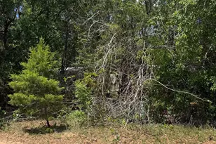 6709 Betty Ln, Navarre, FL 32566 - Photo 28