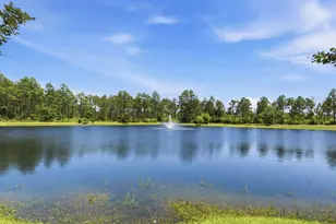 97 Lk Pk Cv, Santa Rosa Beach, FL 32459 - Photo 54