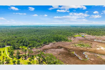 0000 Pearson Road, Milton, FL 32583 - Photo 38