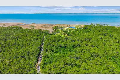 0000 Pearson Road, Milton, FL 32583 - Photo 4