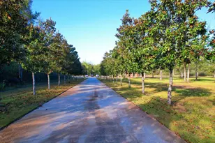 3144 Hwy 182, Pace, FL 32571 - Photo 64