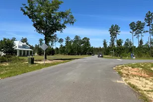 17 Steele Meadow Dr, Pace, FL 32571 - Photo 1