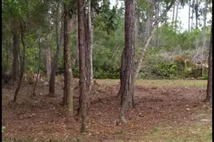 6657 Leisure St, Navarre, FL 32566 - Photo 46