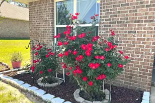 6657 Leisure St, Navarre, FL 32566 - Photo 6