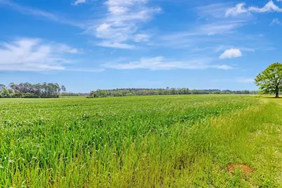 547 New Harmony Loop, Defuniak Springs, FL 32433 - Photo 4