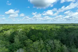 7** Big Cedar Rd, Ponce de Leon, FL 32455 - Photo 2