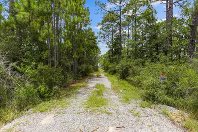 1301 Pearson Road, Milton, FL 32583 - Photo 4