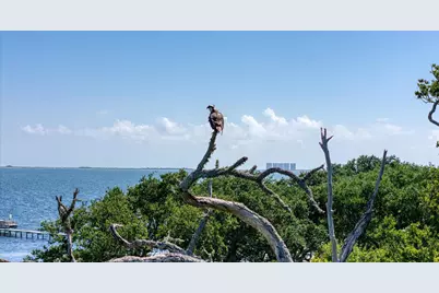 5161 Soundside Drive, Gulf Breeze, FL 32563 - Photo 36