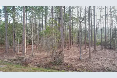 4529&amp;4533 Bayside Drive, Milton, FL 32583 - Photo 4