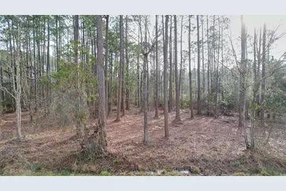 4529 Bayside Drive, Milton, FL 32583 - Photo 12