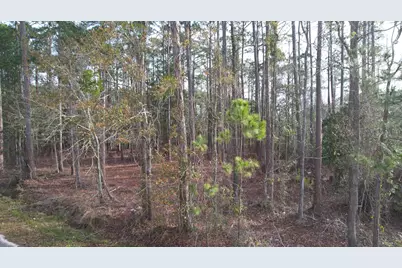 4533 Bayside Drive, Milton, FL 32583 - Photo 6