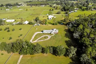 36431 Florrie Mae Ln, Dade, FL N/A - Photo 6