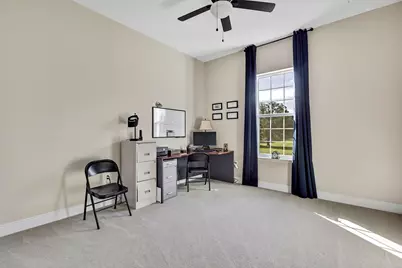 36431 Florrie Mae Lane, Dade, FL N/A - Photo 34