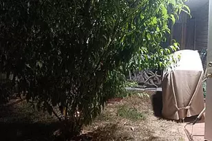 194 Bent Arrow Dr, Destin, FL 32541 - Photo 8