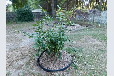 1650 Lady Lane, Baker, FL 32531 - Photo 24