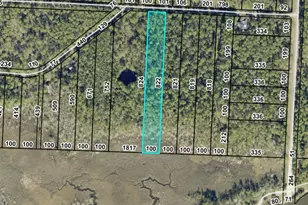 0000 Couey Rd, Milton, FL 32583 - Photo 1