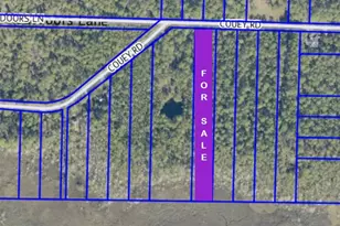 0000 Couey Rd, Milton, FL 32583 - Photo 2