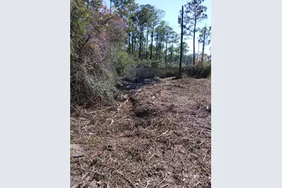 15 Santa Pine Street, Santa Rosa Beach, FL 32459 - Photo 4