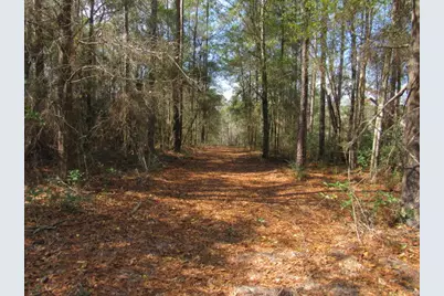 38 Ac Highway 2, Laurel Hill, FL 32567 - Photo 12