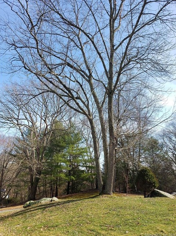 75 Dogwood Ln, Mystic CT  06355-1040 exterior