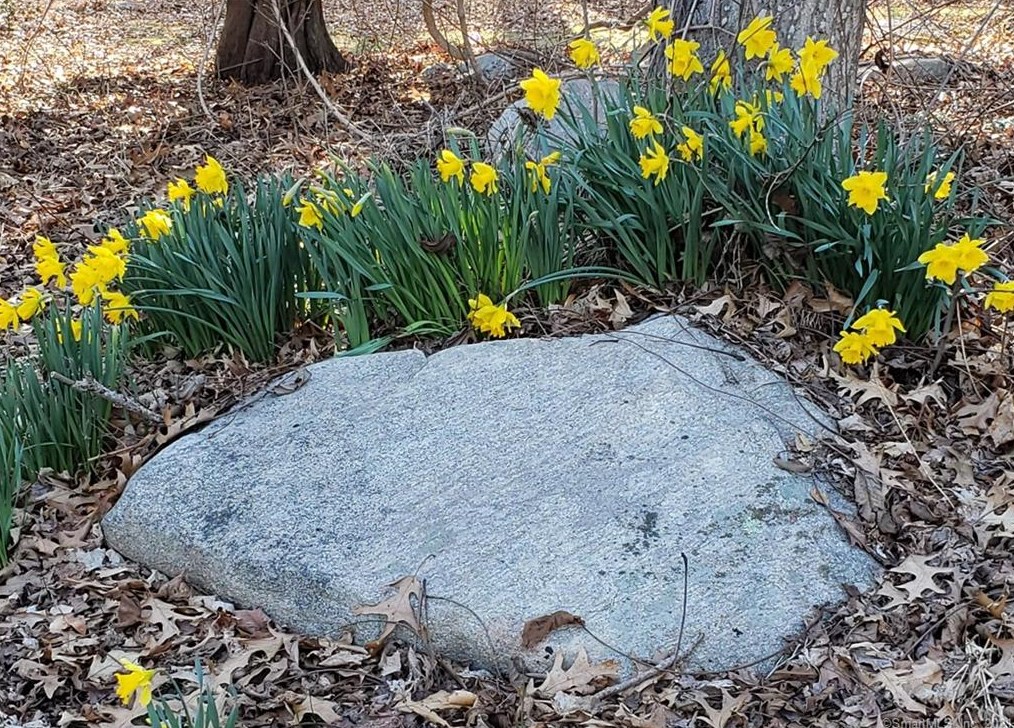 75 Dogwood Ln, Mystic CT  06355-1040 exterior