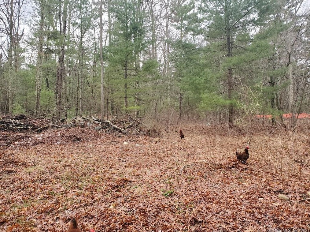 195 Hartford Pike, Killingly, CT 06241