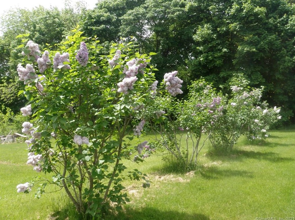 36 Hill St, Norwich, CT 06351