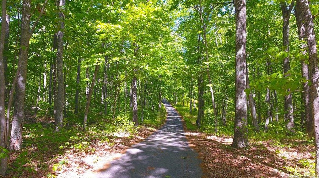 88 Cato Corner Rd, Colchester, CT 06415
