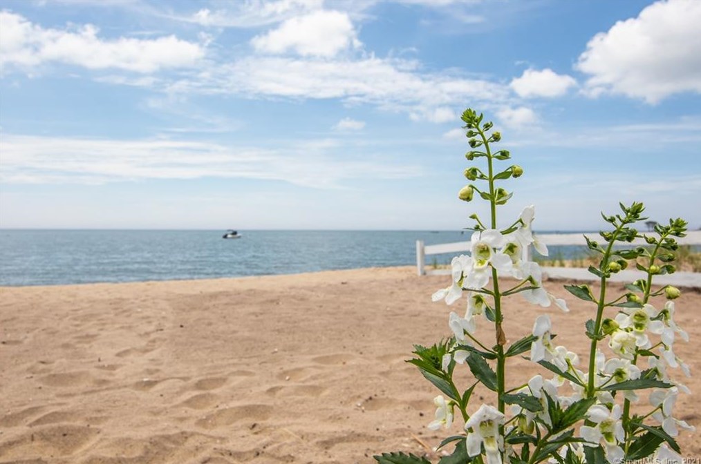 7 Harbor Ave, Madison CT  06443-2824 exterior