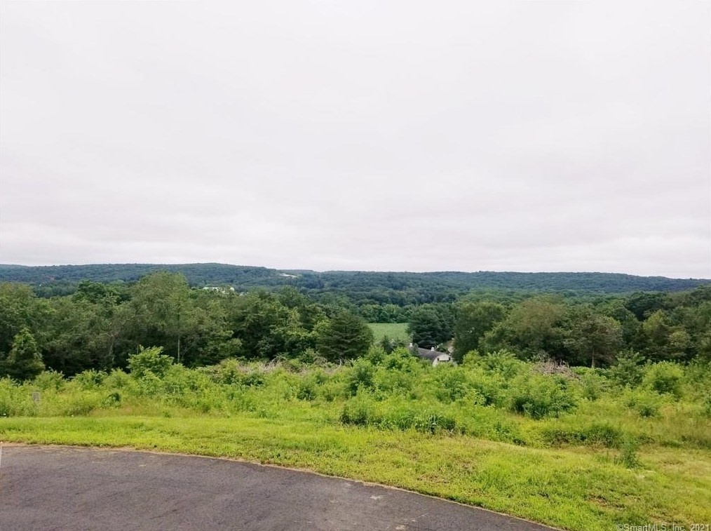 16 Goulart Dr, Bozrah, CT 06334