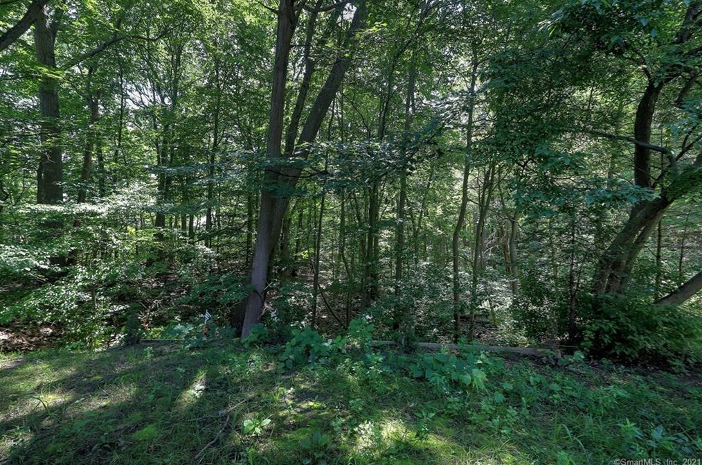 56 Woodland Park, Huntington CT  06484-5347 exterior