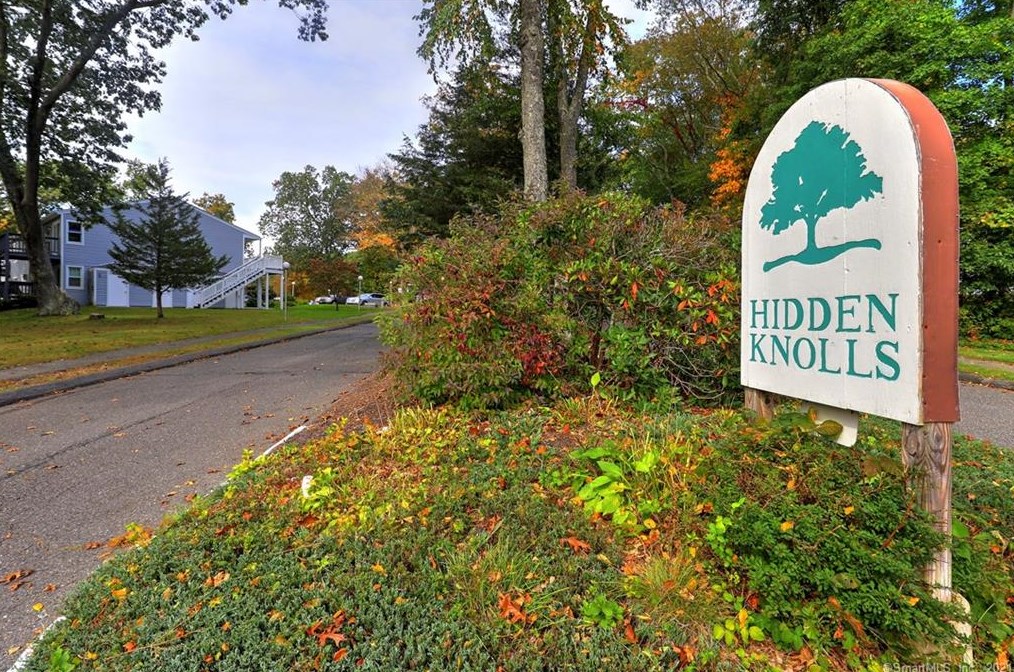 3 Hidden Knolls Cir #3, Upper Stepney, CT 06468