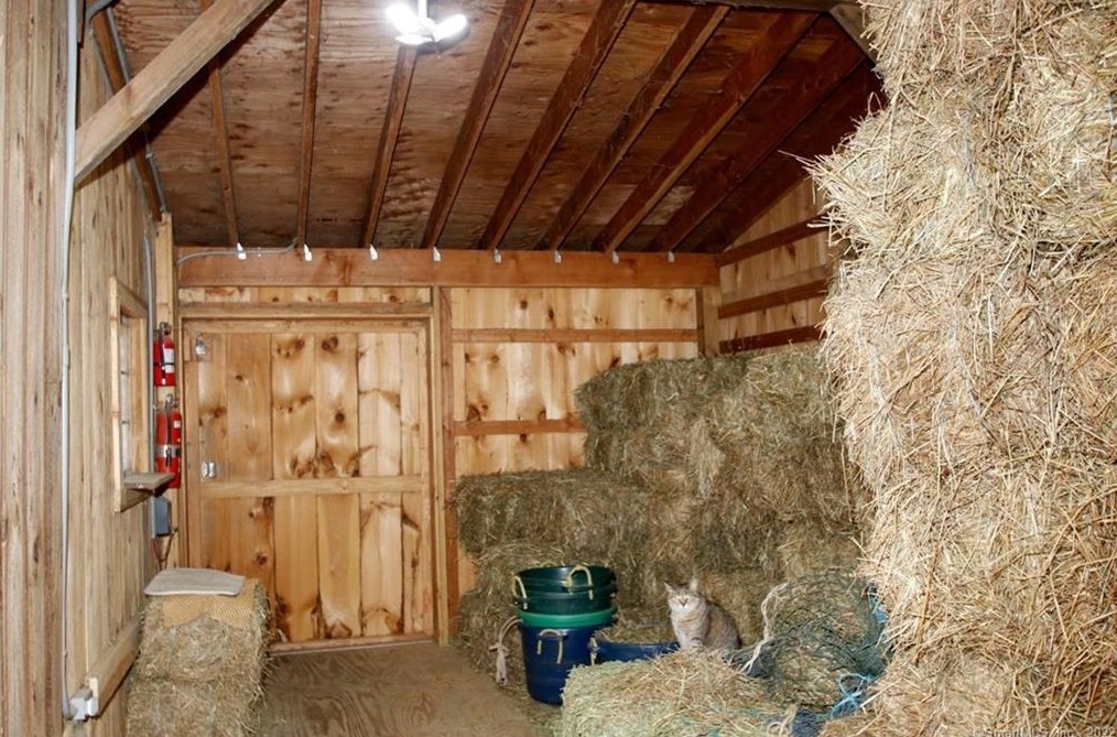 808 Br Rd, Suffield CT 06078-2321 exterior