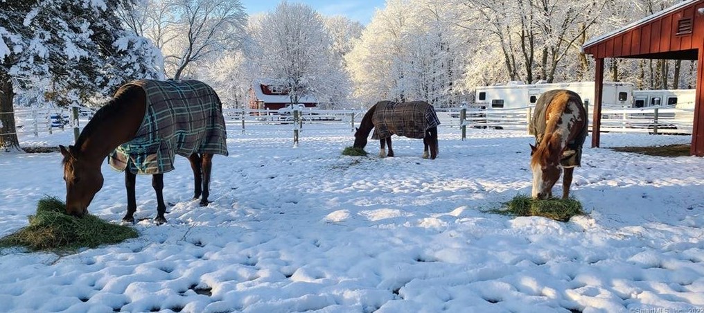 808 Br Rd, Suffield CT 06078-2321 exterior